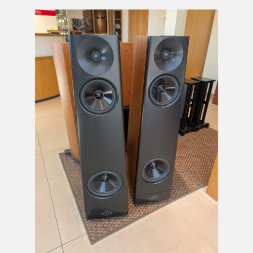 YG Acoustics Ascent Ex-Dem for sale